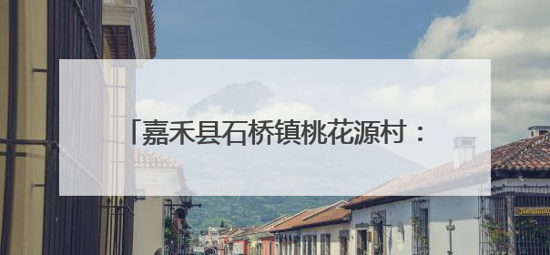 嘉禾县石桥镇桃花源村：盘活闲置用地发展针织产业 织就乡村振兴新图景