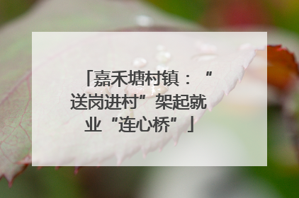 嘉禾塘村镇：“送岗进村”架起就业“连心桥”