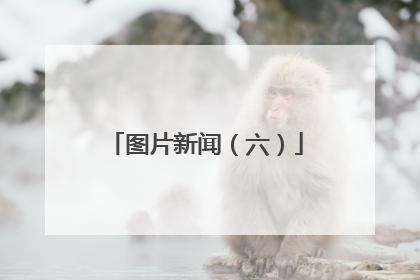 图片新闻（六）