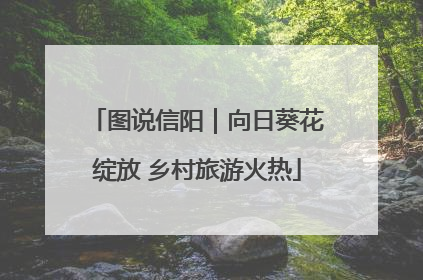 图说信阳｜向日葵花绽放 乡村旅游火热