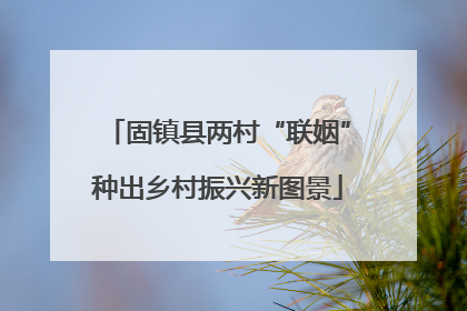 固镇县两村“联姻”种出乡村振兴新图景