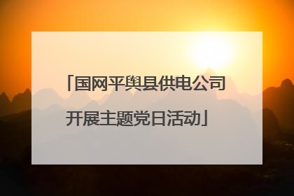 国网平舆县供电公司开展主题党日活动