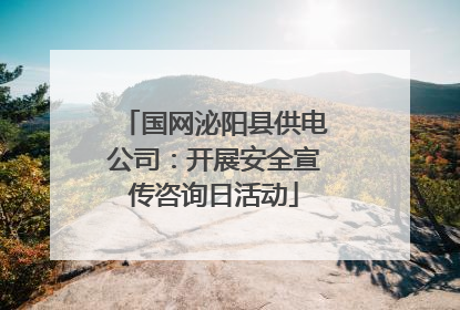 国网泌阳县供电公司：开展安全宣传咨询日活动