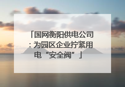 国网衡阳供电公司：为园区企业拧紧用电“安全阀”