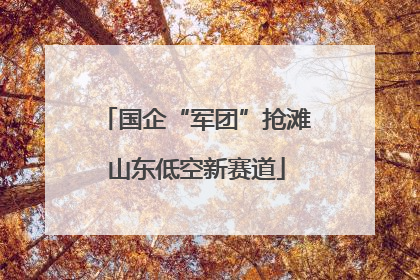 国企“军团”抢滩山东低空新赛道