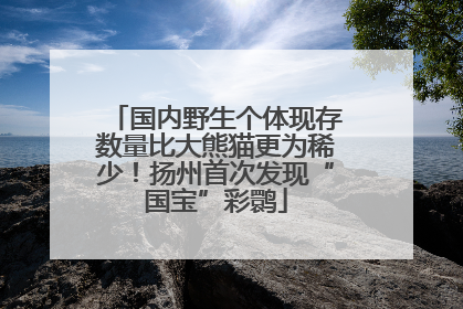 国内野生个体现存数量比大熊猫更为稀少！扬州首次发现“国宝”彩鹮