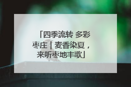 四季流转 多彩枣庄｜麦香染夏，来听枣地丰歌