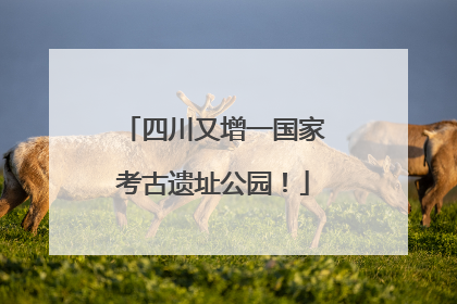 四川又增一国家考古遗址公园！