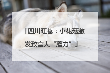 四川旺苍：小花菇激发致富大“蘑力”