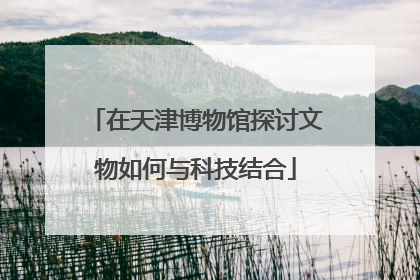 在天津博物馆探讨文物如何与科技结合
