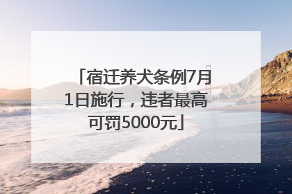 宿迁养犬条例7月1日施行，违者最高可罚5000元