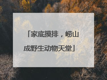 家底摸排，崂山成野生动物天堂