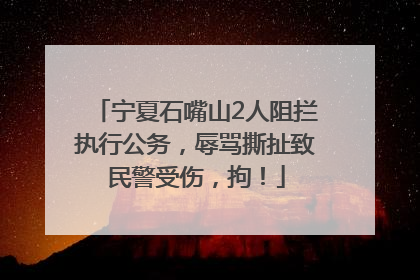 宁夏石嘴山2人阻拦执行公务，辱骂撕扯致民警受伤，拘！