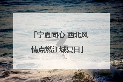 宁夏同心 西北风情点燃江城夏日