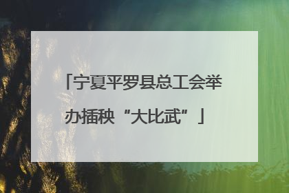 宁夏平罗县总工会举办插秧“大比武”