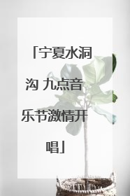 宁夏水洞沟 九点音乐节激情开唱