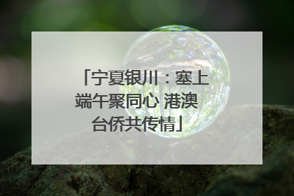 宁夏银川：塞上端午聚同心 港澳台侨共传情
