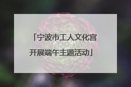 宁波市工人文化宫开展端午主题活动