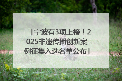 宁波有3项上榜！2025非遗传播创新案例征集入选名单公布