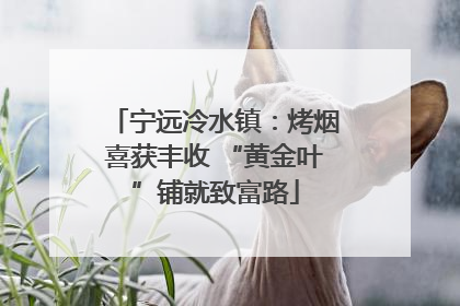 宁远冷水镇：烤烟喜获丰收 “黄金叶”铺就致富路