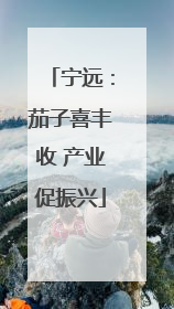 宁远：茄子喜丰收 产业促振兴