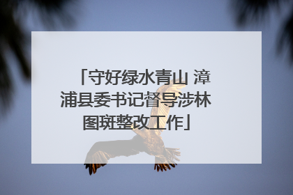 守好绿水青山 漳浦县委书记督导涉林图斑整改工作