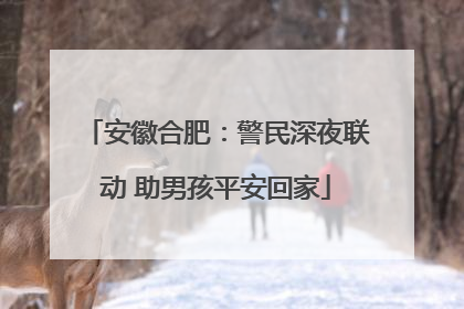 安徽合肥：警民深夜联动 助男孩平安回家