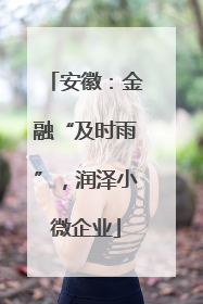 安徽：金融“及时雨”，润泽小微企业