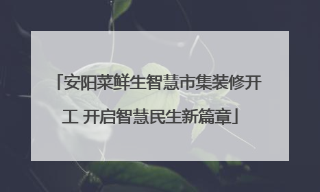 安阳菜鲜生智慧市集装修开工 开启智慧民生新篇章