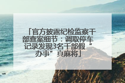 官方披露纪检监察干部查案细节：调取停车记录发现3名干部假“办事”真麻将