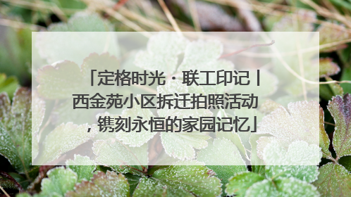 定格时光・联工印记丨西金苑小区拆迁拍照活动，镌刻永恒的家园记忆