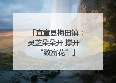 宜章县梅田镇：灵芝朵朵开 撑开“致富花”