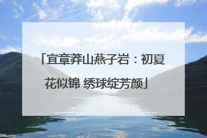 宜章莽山燕子岩：初夏花似锦 绣球绽芳颜