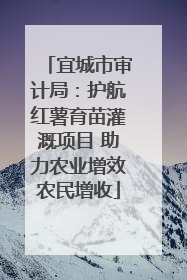 宜城市审计局：护航红薯育苗灌溉项目 助力农业增效农民增收
