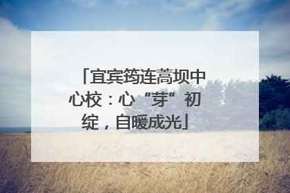 宜宾筠连蒿坝中心校：心“芽”初绽，自暖成光