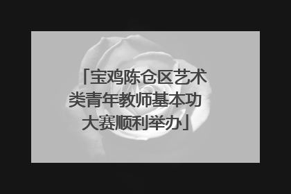 宝鸡陈仓区艺术类青年教师基本功大赛顺利举办