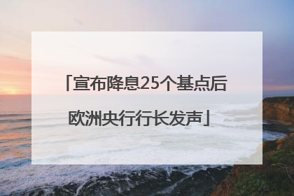 宣布降息25个基点后 欧洲央行行长发声