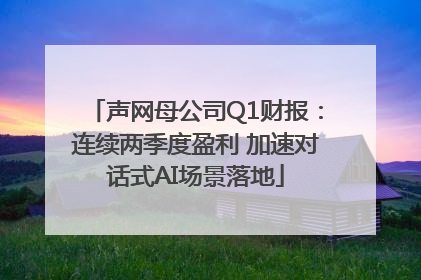 声网母公司Q1财报：连续两季度盈利 加速对话式AI场景落地