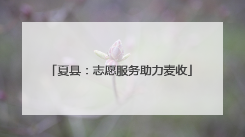 夏县：志愿服务助力麦收