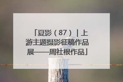 夏影（87）｜上游主题摄影征稿作品展——周社根作品