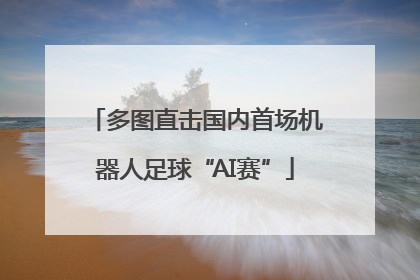 多图直击国内首场机器人足球“AI赛”