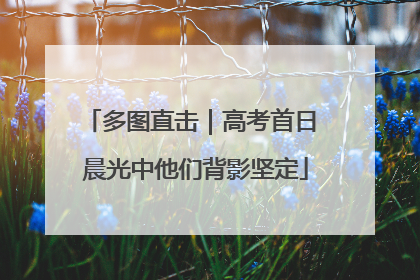 多图直击｜高考首日 晨光中他们背影坚定