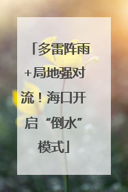 多雷阵雨+局地强对流！海口开启“倒水”模式