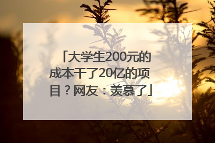 大学生200元的成本干了20亿的项目？网友：羡慕了