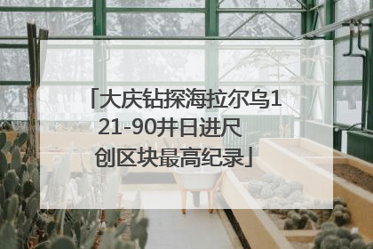 大庆钻探海拉尔乌121-90井日进尺 创区块最高纪录