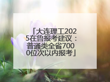 大连理工2025在鲁报考建议：普通类全省7000位次以内报考