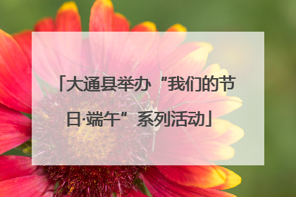 大通县举办“我们的节日·端午”系列活动