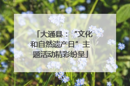 大通县：“文化和自然遗产日”主题活动精彩纷呈