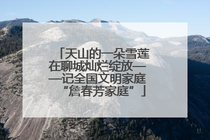 天山的一朵雪莲在聊城灿烂绽放——记全国文明家庭“詹春芳家庭”