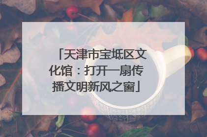 天津市宝坻区文化馆：打开一扇传播文明新风之窗